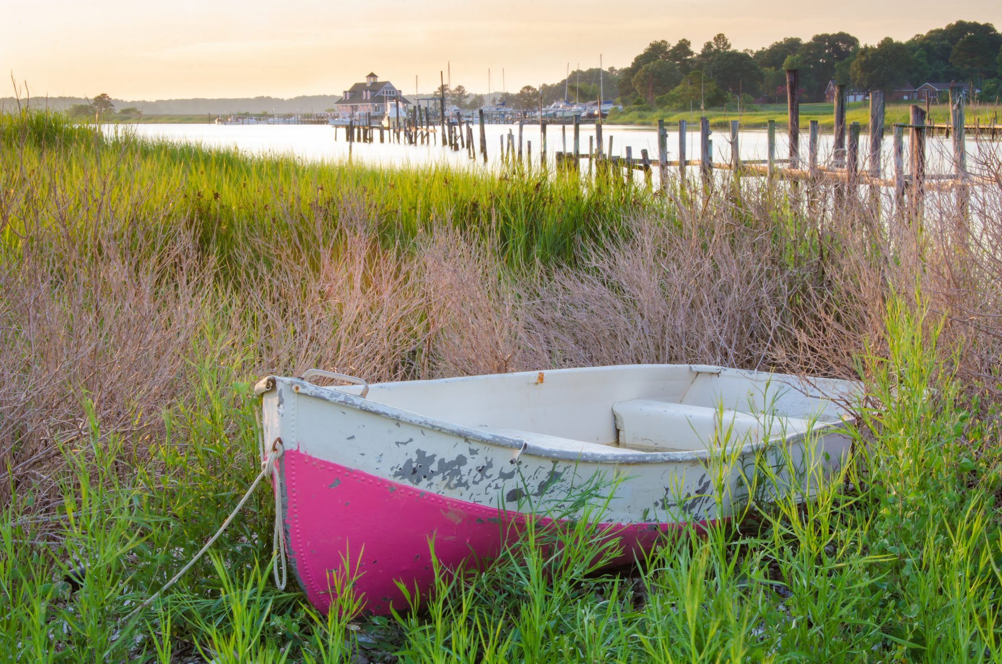 Historic Smithfield, Virginia Benns Grant